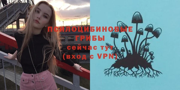 амфетамин Лабытнанги