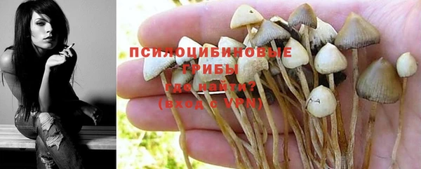 амфетамин Лабытнанги