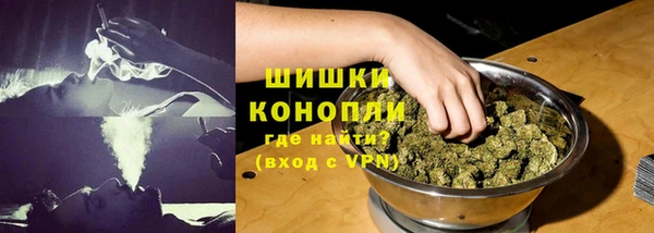 бошки Ладушкин
