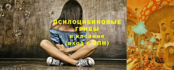 бошки Ладушкин