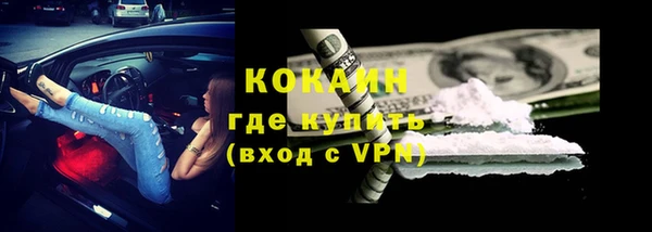 бошки Ладушкин
