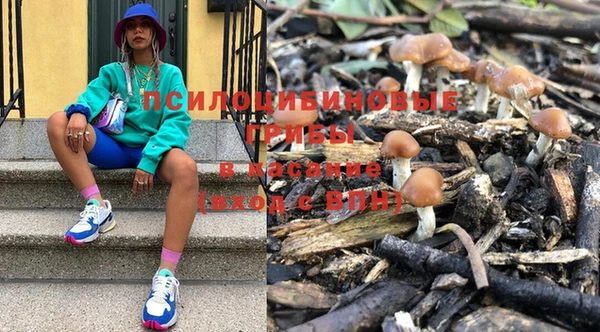 бошки Ладушкин