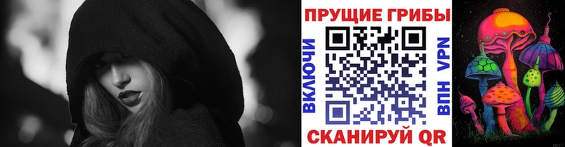 Купить где  Печоры  Псилоцибиновые грибы Psilocybine cubensis 